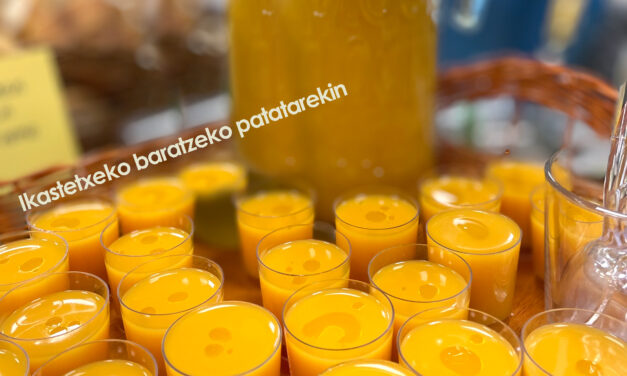 ZIG  gelakoen  hamaiketakoa